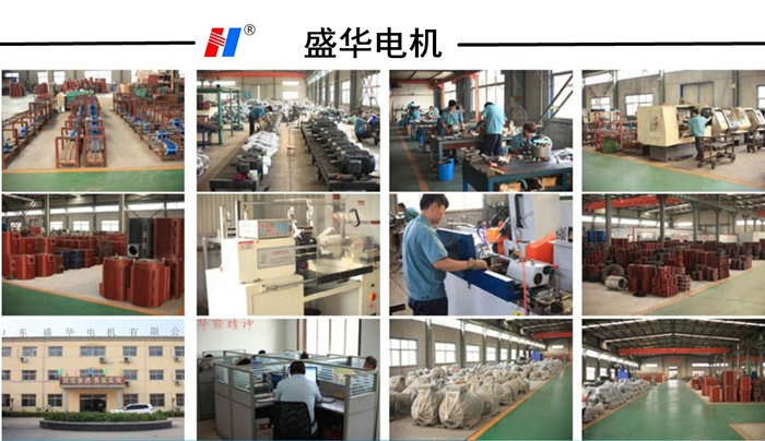 山東電機(jī)廠,磚機(jī)專用大功率電機(jī),電機(jī)定制