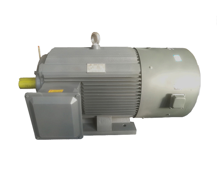 山東盛華電機生產(chǎn)廠家,高效節(jié)能電機,變頻電機