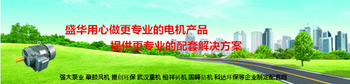 山東盛華電機(jī)生產(chǎn)廠家,輸送機(jī)專用電機(jī),電機(jī)定制