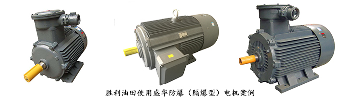 山東電機廠,高效節(jié)能電機,盛華電機