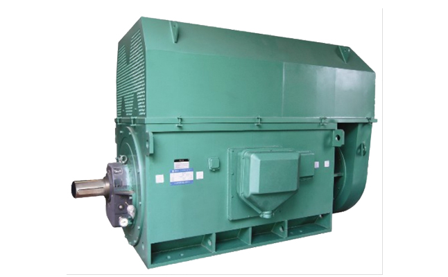 山東電機(jī)廠,盛華電機(jī),高壓電機(jī),大功率電機(jī)