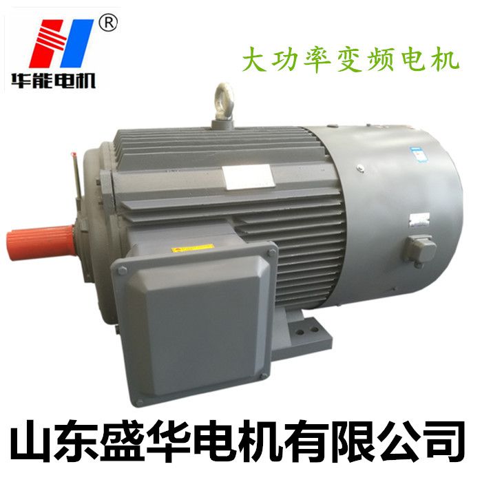 山東電機(jī)廠,三相異步電動(dòng)機(jī),調(diào)速電機(jī),電動(dòng)機(jī)