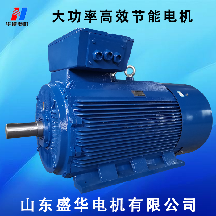 盛華電機(jī),電機(jī)廠,大功率電機(jī),電機(jī)運(yùn)行電壓